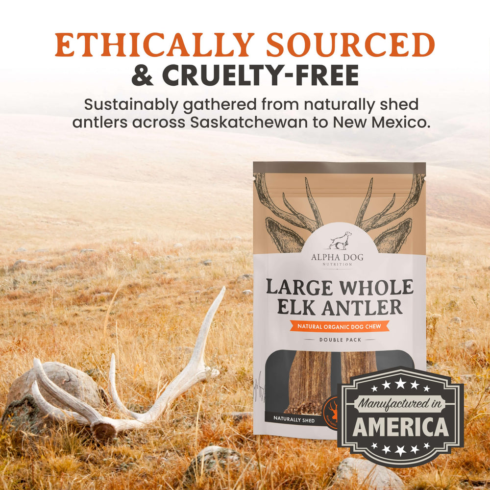 Alpha Dog Nutrition elk antler chews large whole USA sourced material shown