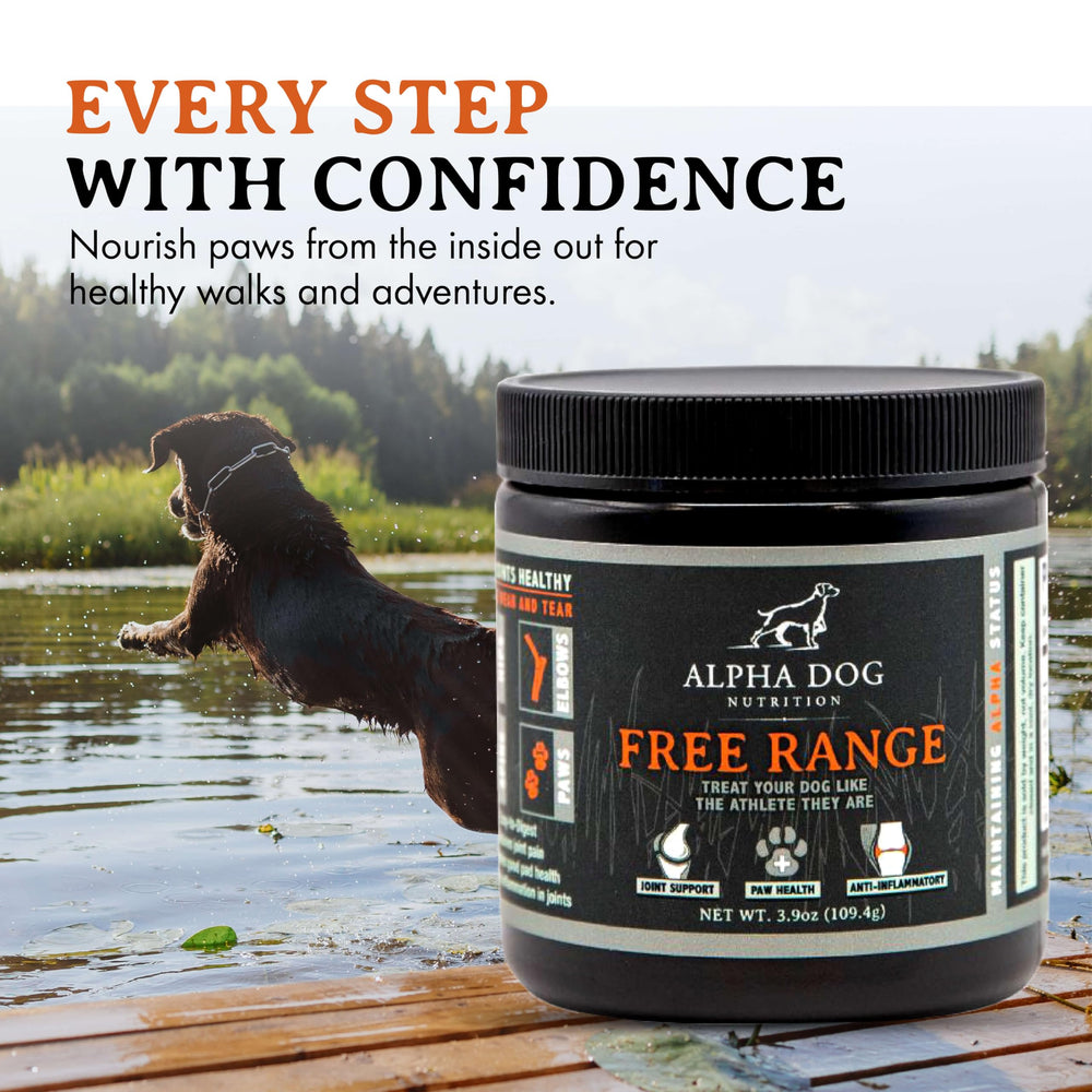 Senior dogs stay active with Free Range hip and joint support