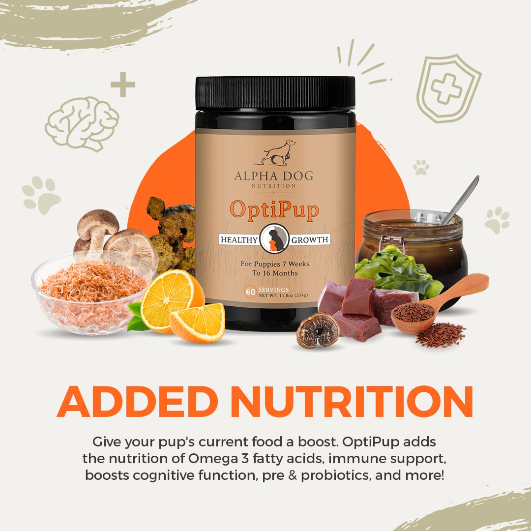 Skin and coat shine close-up suggests healthy moisture from omega fatty acids.