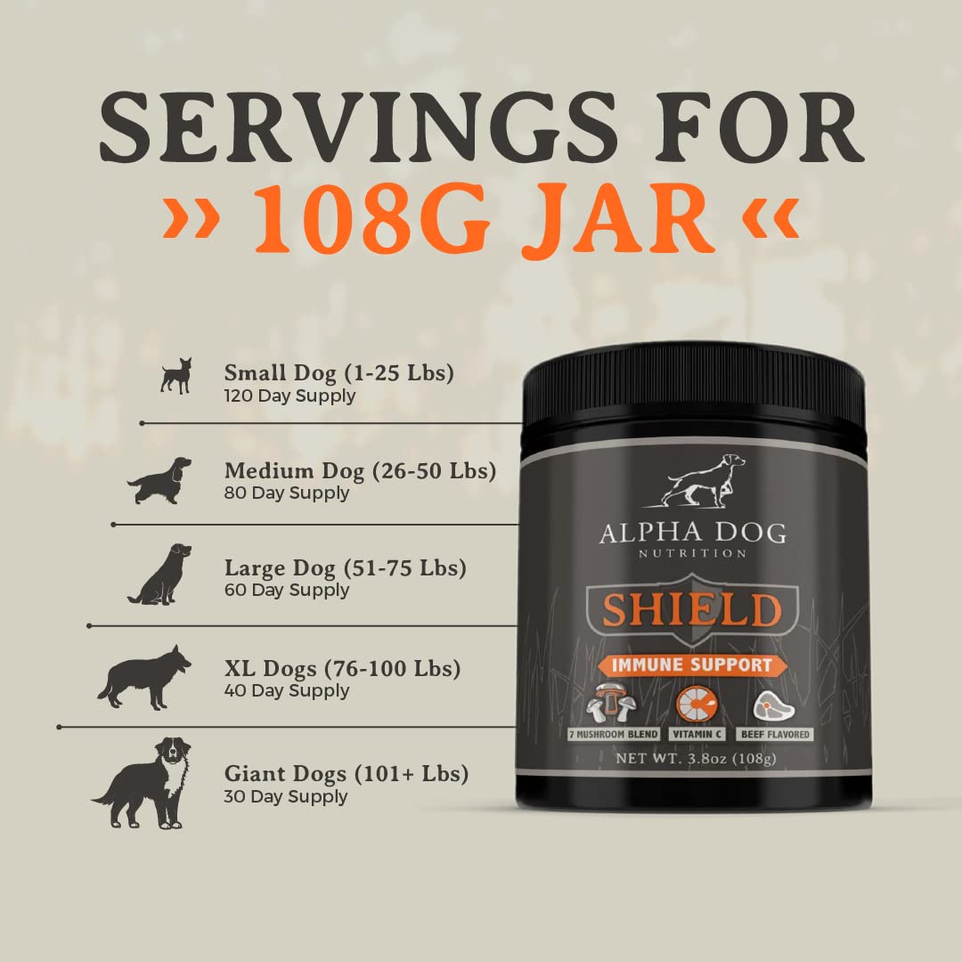 Alpha Dog Shield Allergy dog meal-time moment with mushroom powder