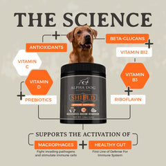 Alpha Dog Shield Allergy powder being scooped for daily immune support