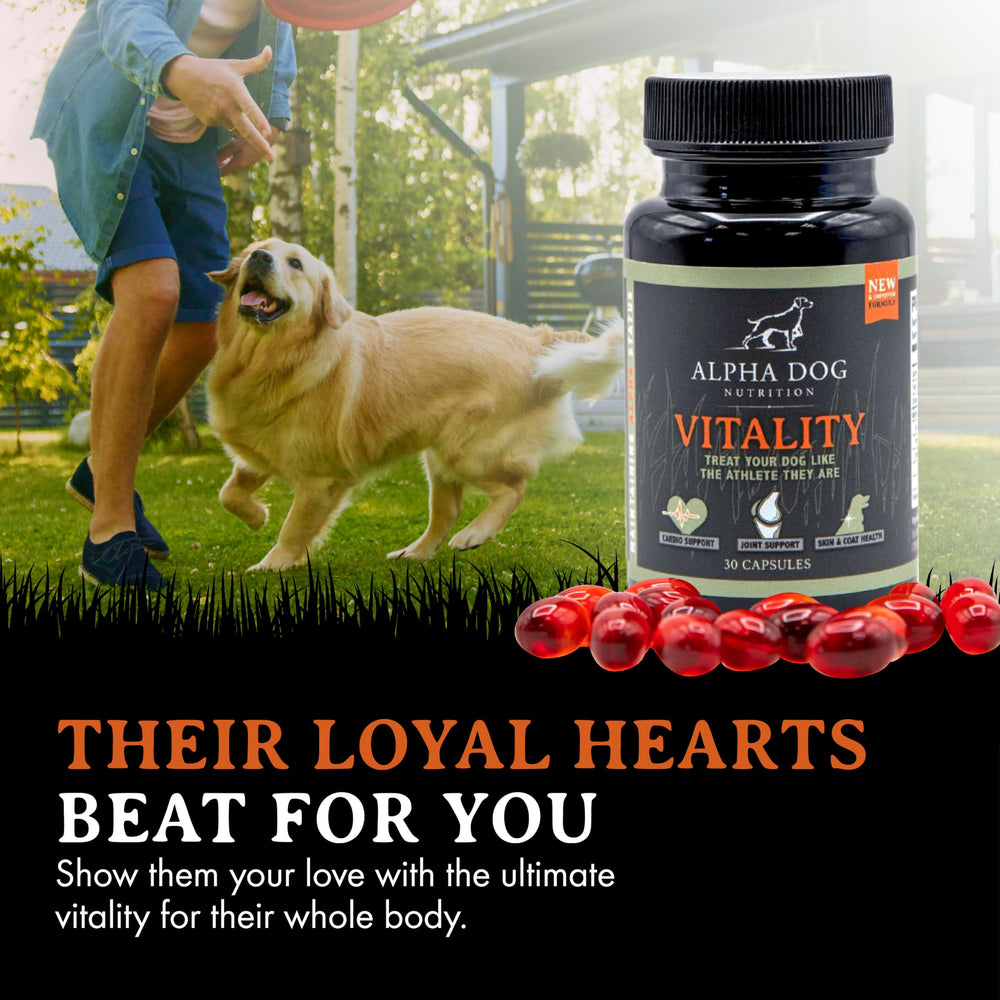 Alpha Dog Nutrition Vitality simple daily dosing shown on a paw.