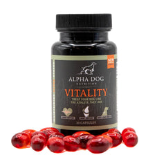 Alpha Dog Nutrition Vitality krill oil bottle close-up for a shiny coat.