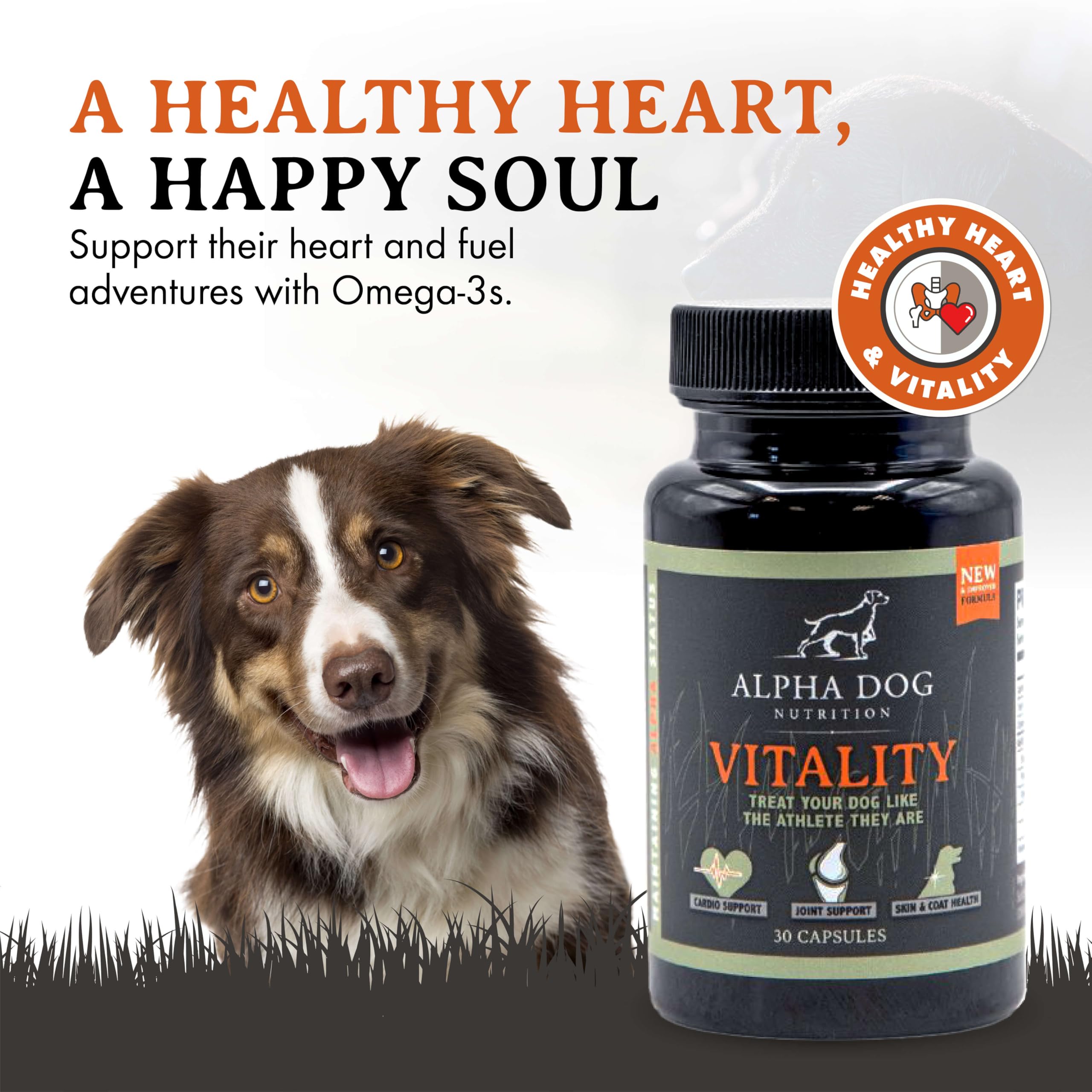 Alpha Dog Nutrition Vitality krill oil capsules ready to administer for daily joint and coat support.