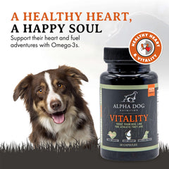 Alpha Dog Nutrition Vitality krill oil capsules ready to administer for daily joint and coat support.