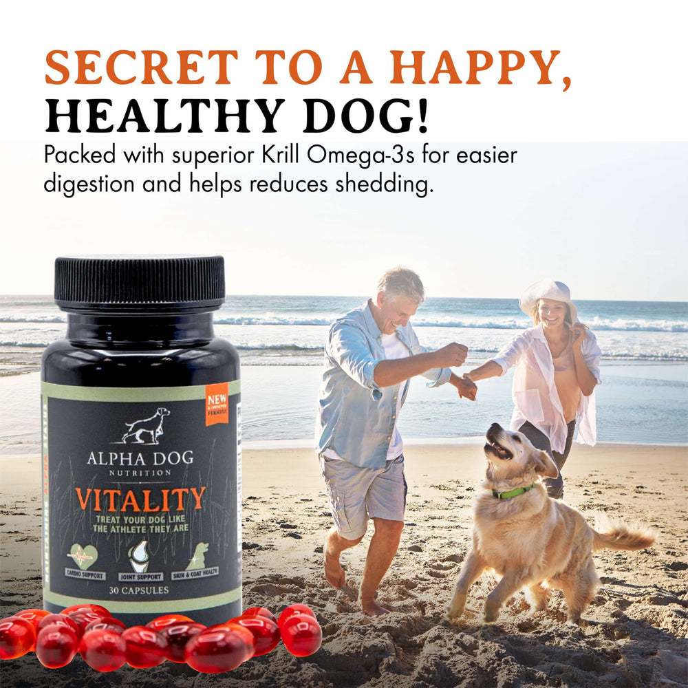 Alpha Dog Nutrition Vitality softgels designed for easy digestion in dogs.