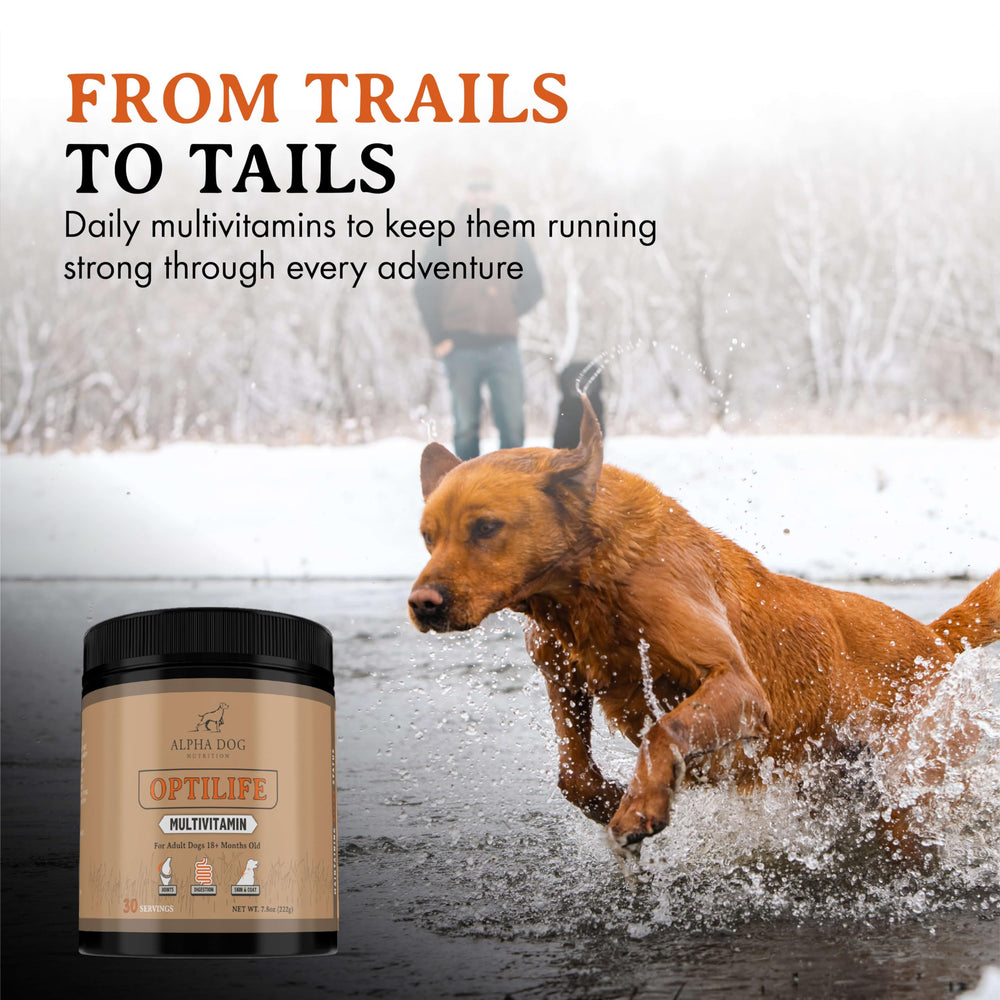 OptiLife promotes digestive comfort with prebiotics and probiotics in meals.