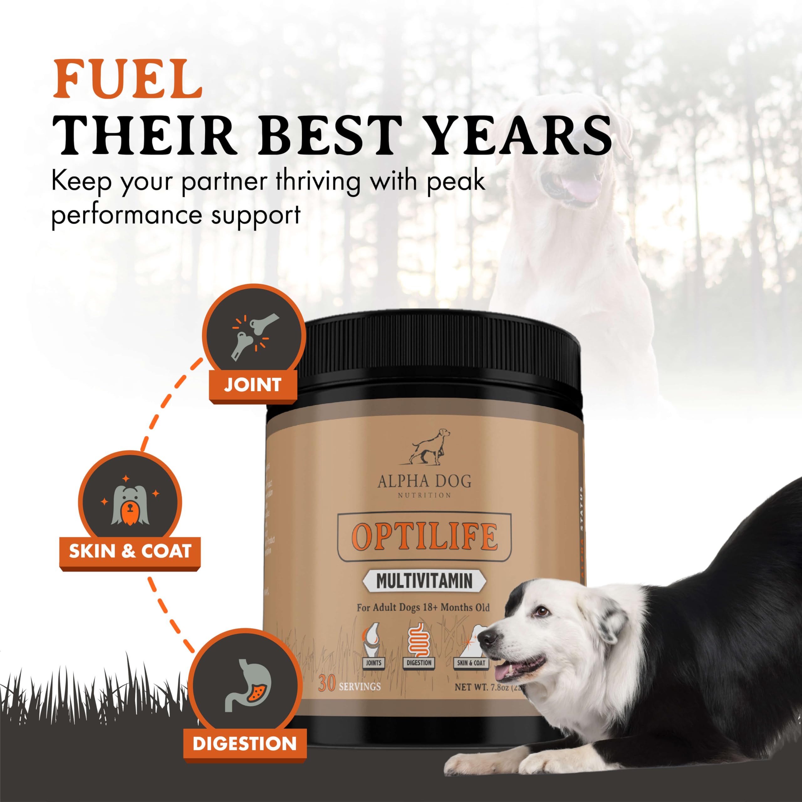 OptiLife powder scoop being poured into dog meal for convenience.