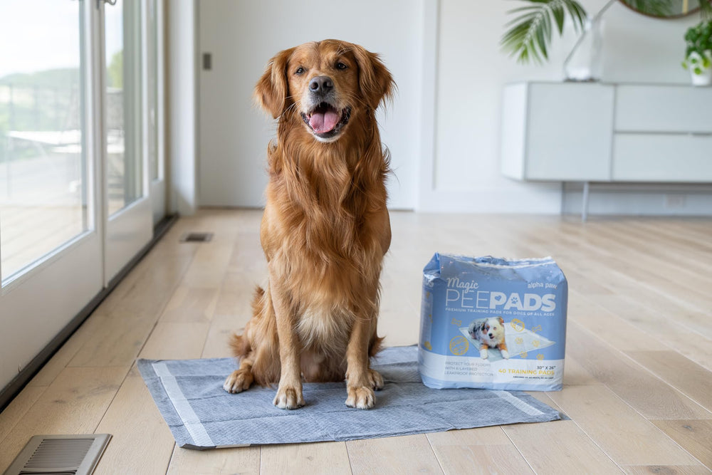 40-count Alpha Paw pads are ideal for ongoing training needs.