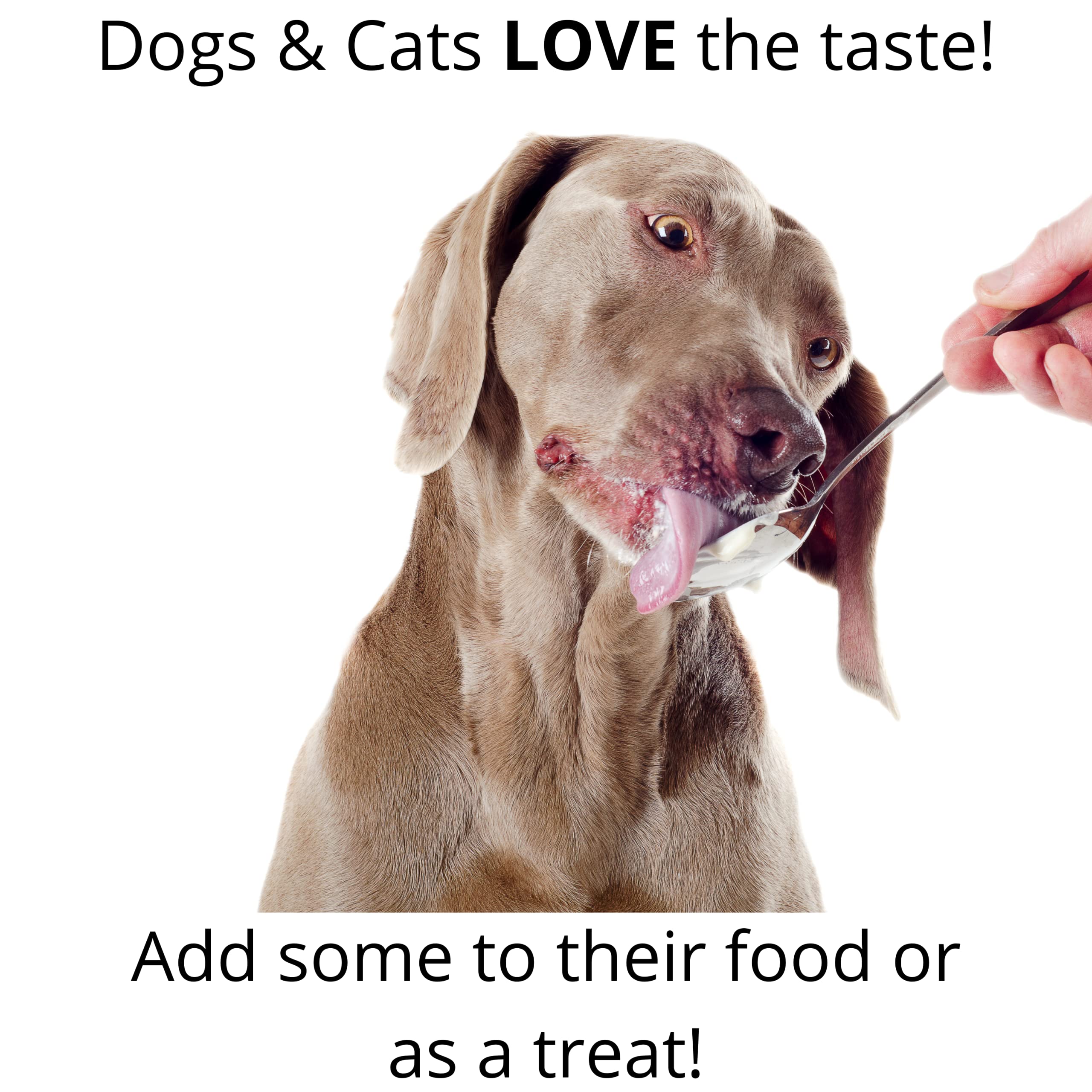 ALPHA PET ZONE coconut oil cracked nose treatment, helps dry nose areas.