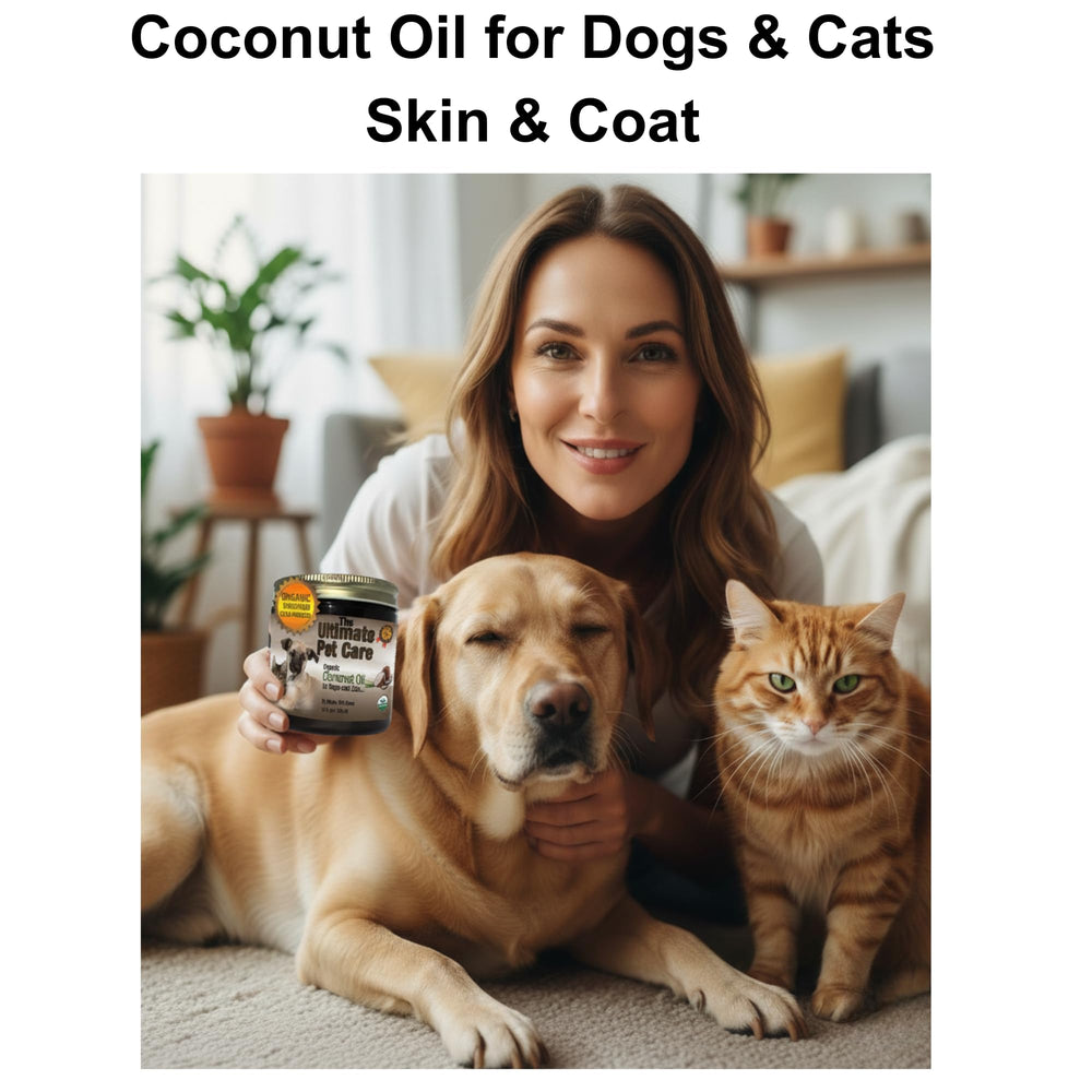ALPHA PET ZONE coconut oil dog coat shine, enhances fur luster.