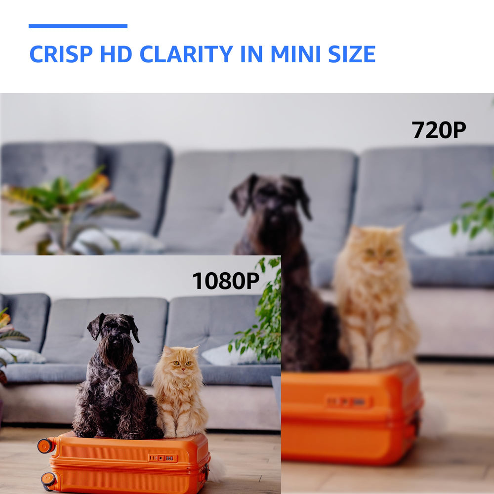 ALPHA TECH camera powered by constant plug-in power for reliability