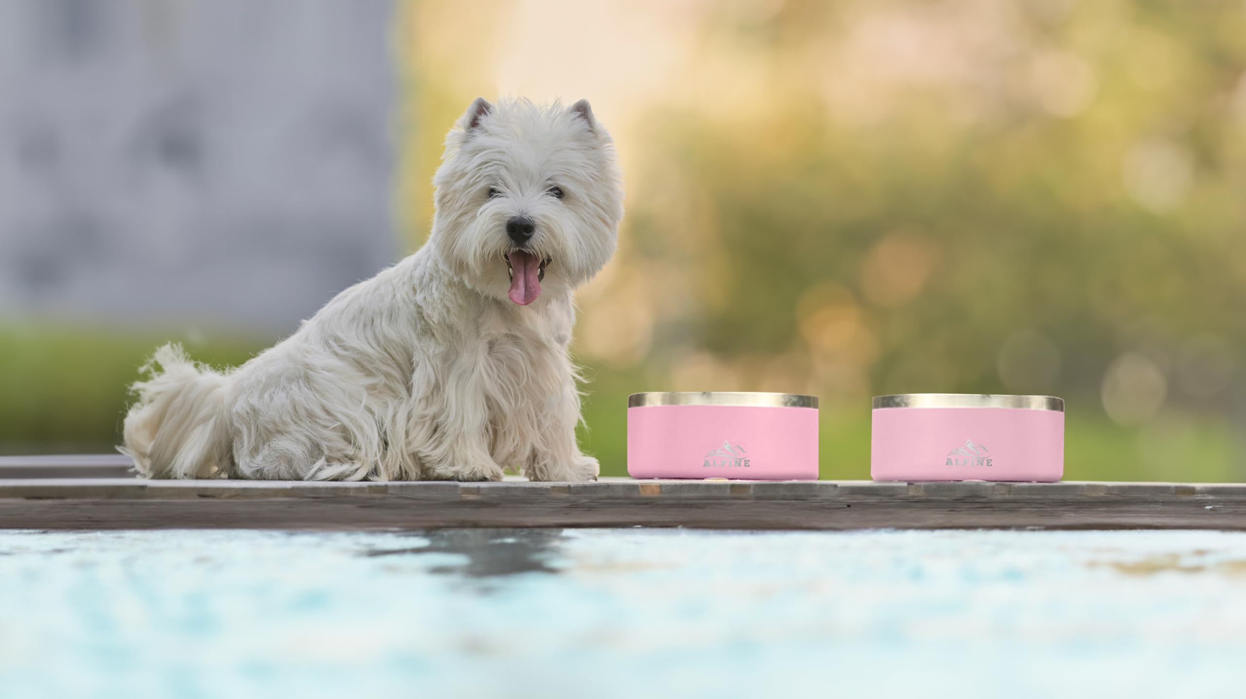 ALPINE sky blue dog bowls add cheerful color to mealtime