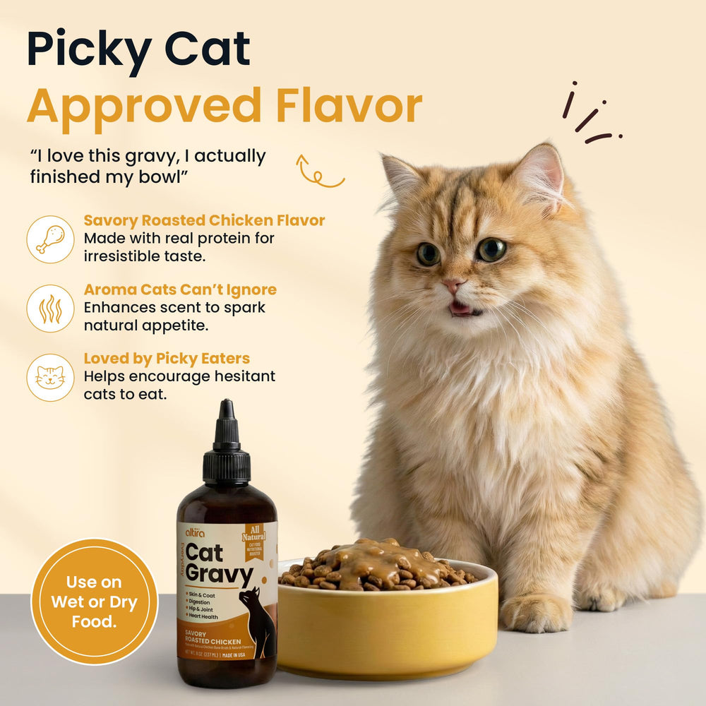 Close-up of Altira Everyday Cat Gravy ingredient list highlighting omega-3 fats.