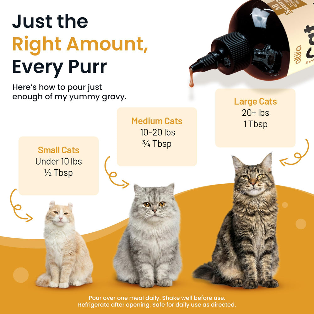 Altira Everyday Cat Gravy with omega-3 and probiotics supports a healthy coat.