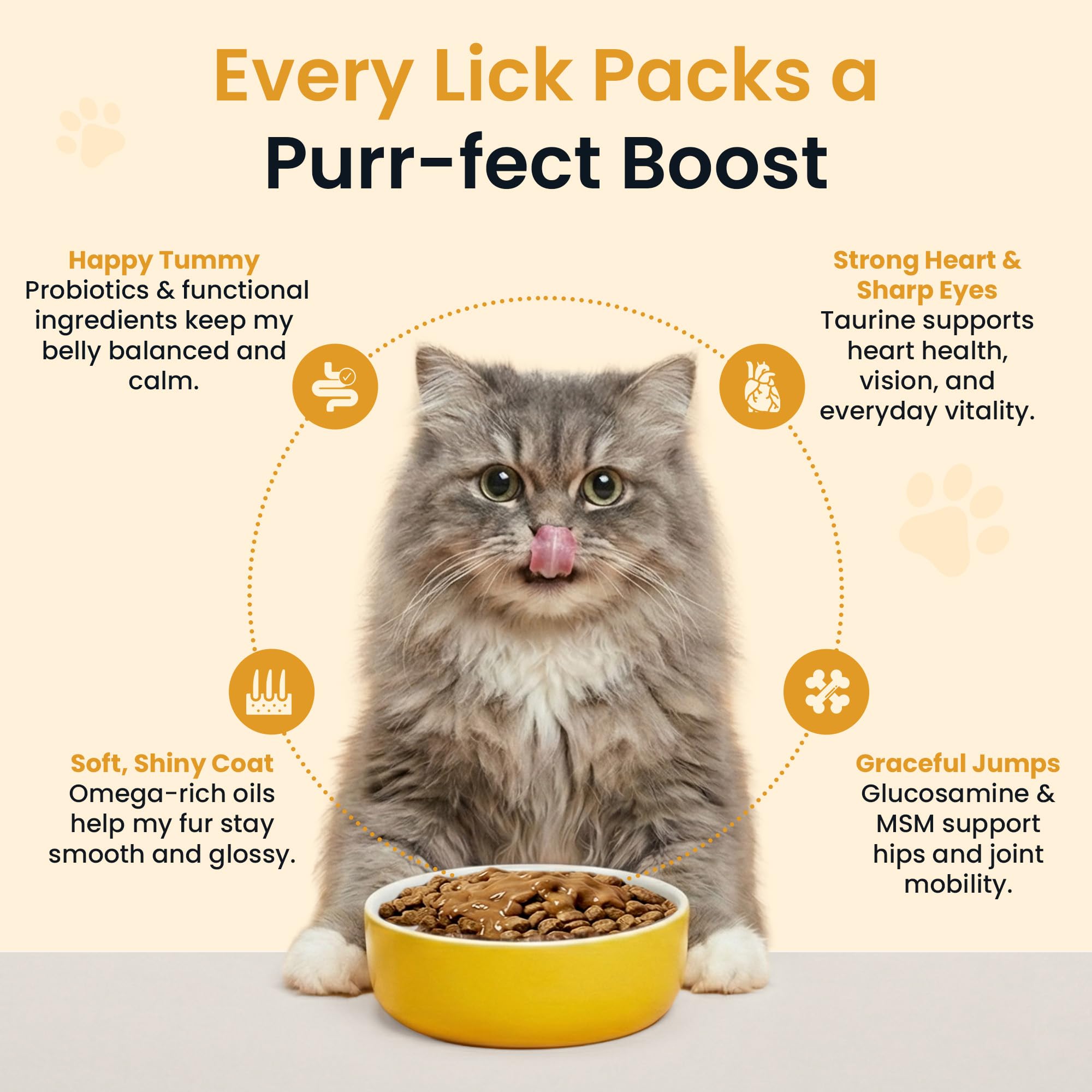 Altira Everyday Cat Gravy being poured over kibble for easier feeding.