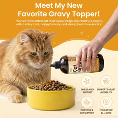 Altira Everyday Cat Gravy serving over a bowl of wet food.