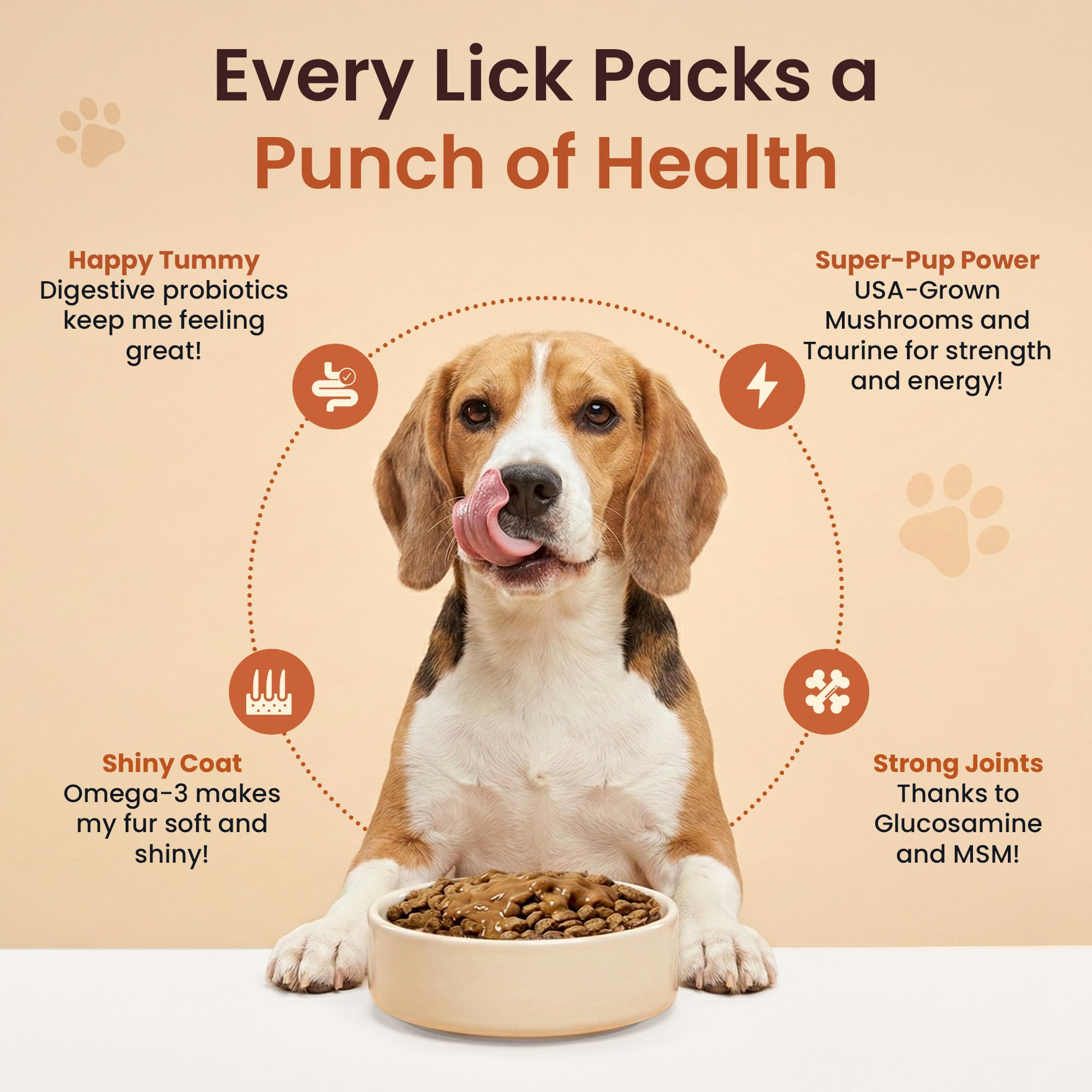 Altira Everyday Dog Gravy kibble topping highlights tasty enhancement.