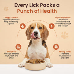 Altira Everyday Dog Gravy kibble topping highlights tasty enhancement.