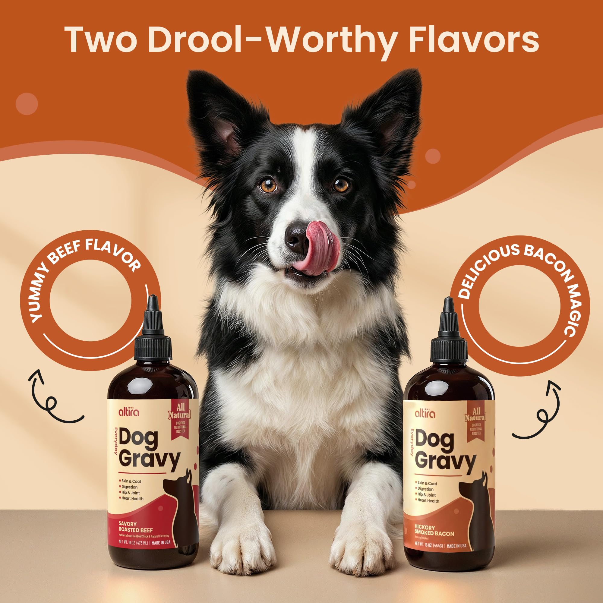 Altira Everyday Dog Gravy omega-3 oils in view support shine.
