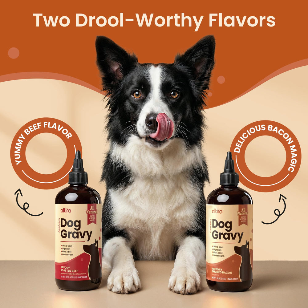 Altira Everyday Dog Gravy omega-3 oils in view support shine.