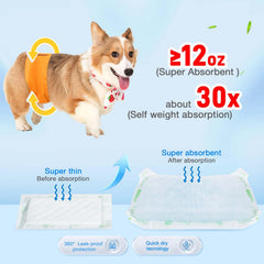 ALWZ-RDY dog diaper liners demonstrate five-layer absorption to reduce leaks around furniture.