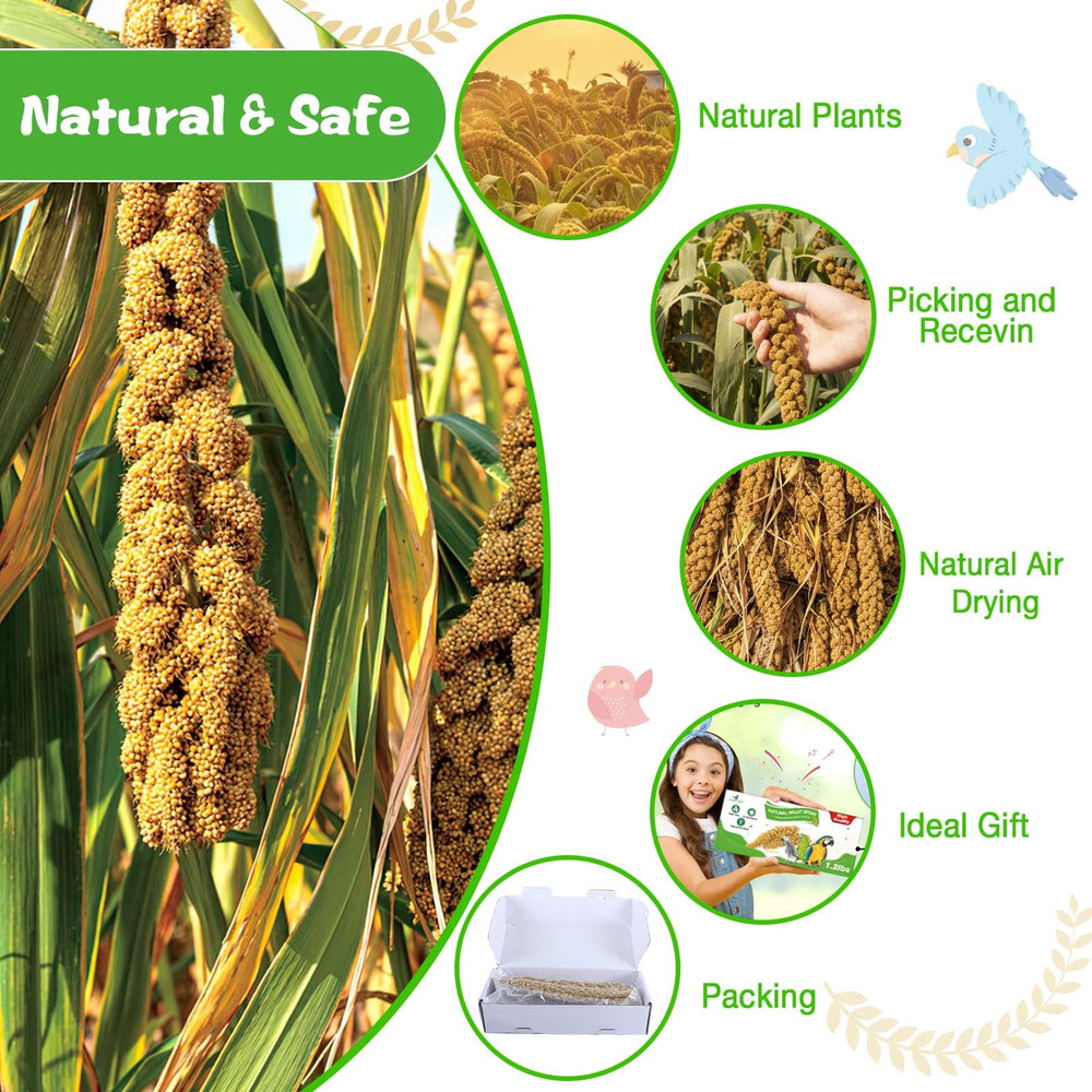 ALWZ-RDY millet nutrition panel emphasizes protein and minerals.