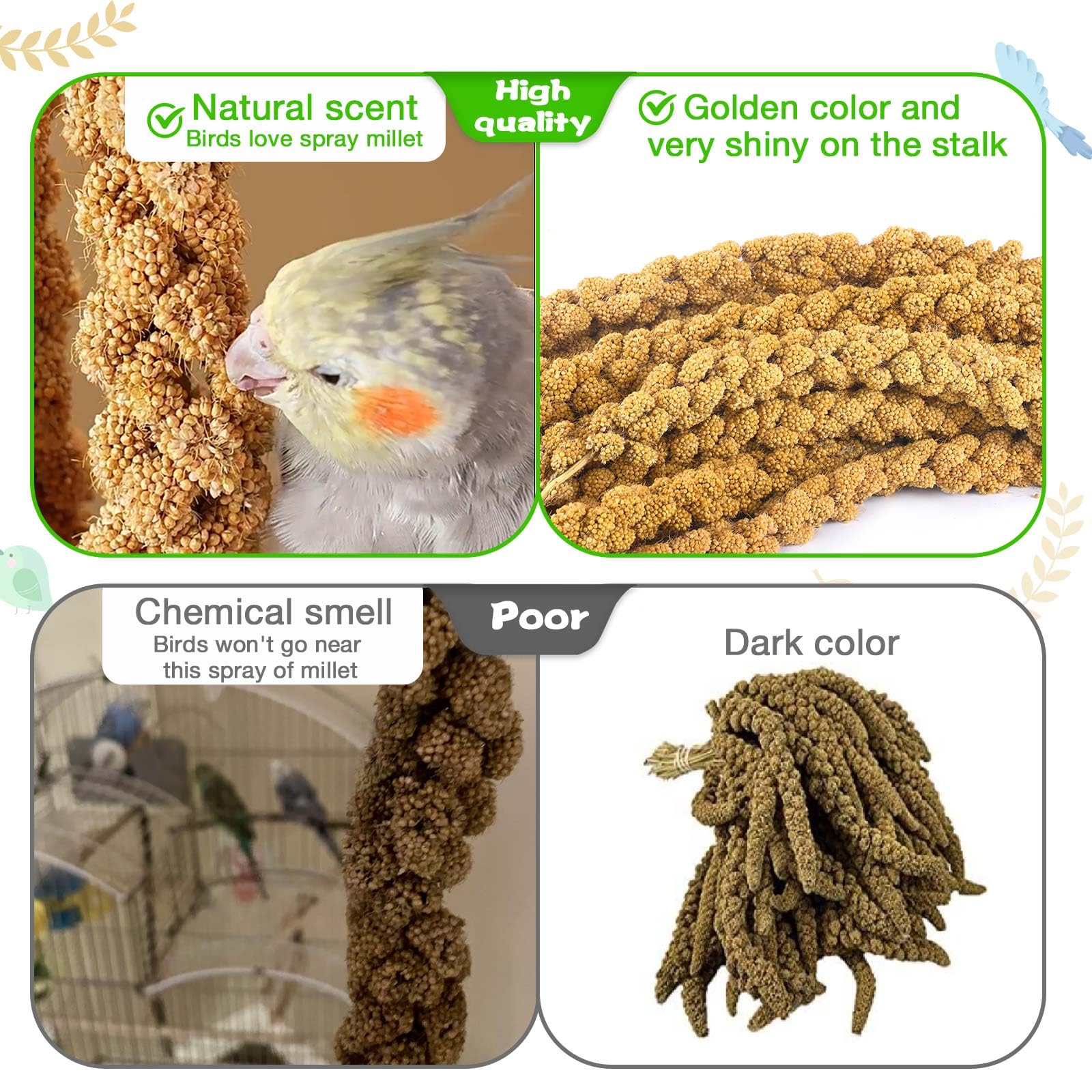 ALWZ-RDY millet stems close-up highlights plump, nutrient-rich tips.