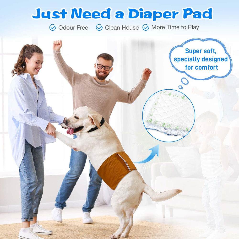 ALWZ-RDY fits multiple sizes for belly bands and wraps.