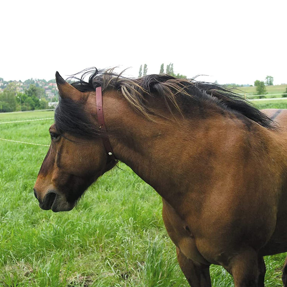 ALZOO Herbal Horse Collar easy-attachment demonstrates quick, secure fastening.