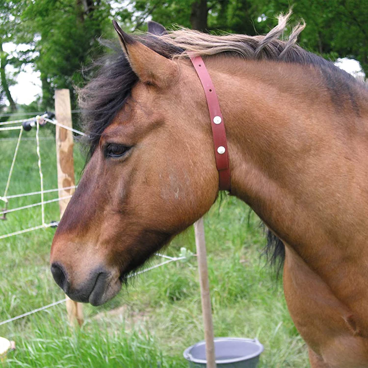 ALZOO Herbal Horse Collar eco-friendly branding supports responsible pet care.