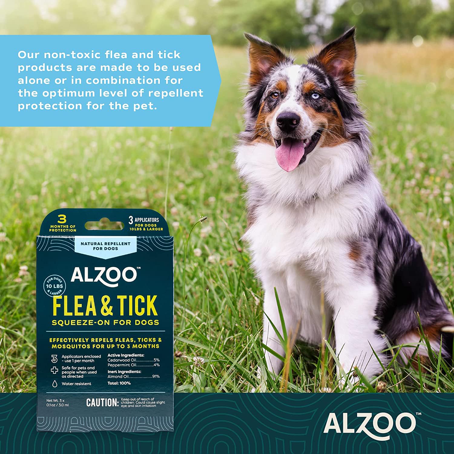 ALZOO water-resistant-dog-squeeze-on stays on during outdoor play.