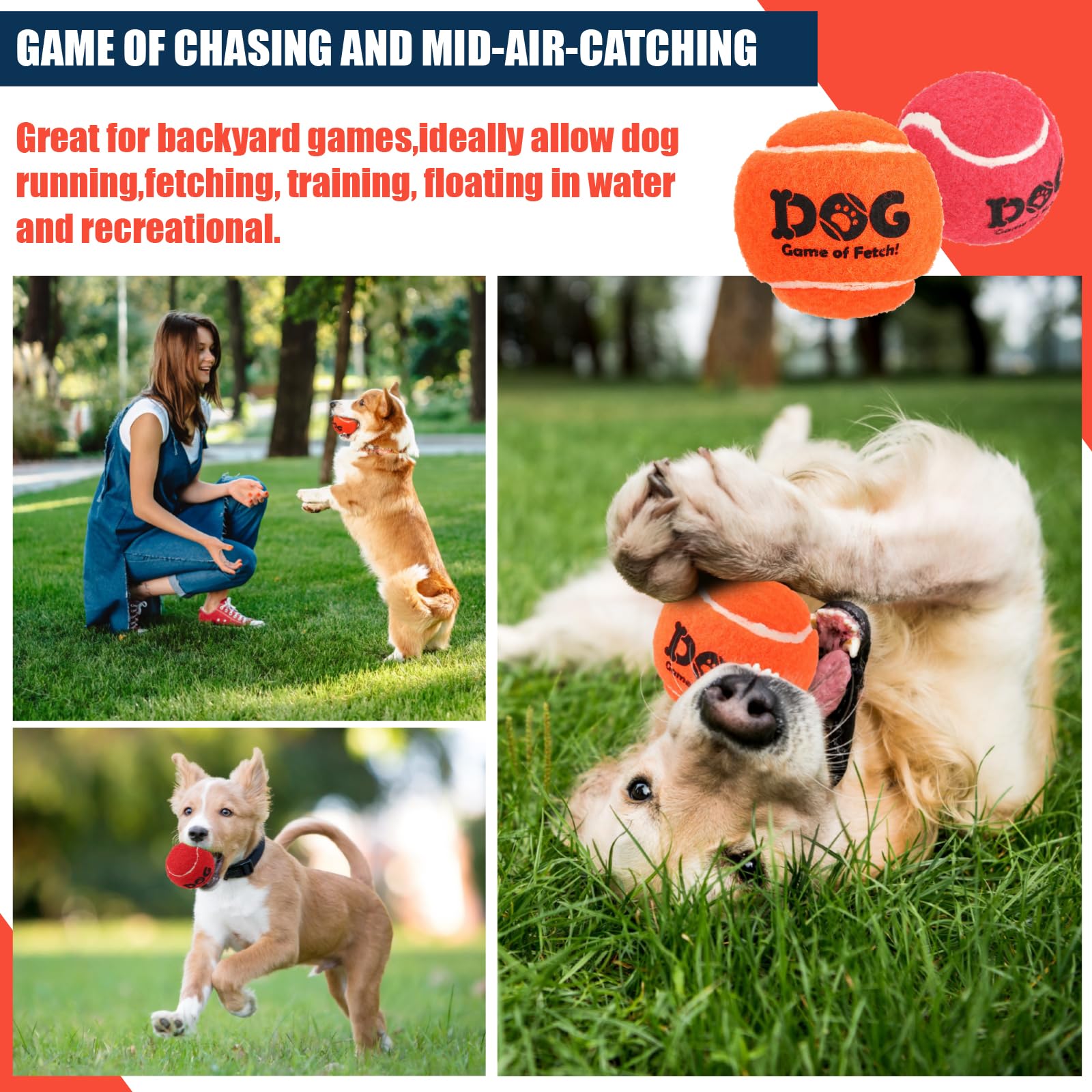 AMA SPORT 12-pack orange dog tennis balls for puppies and small to medium dogs.