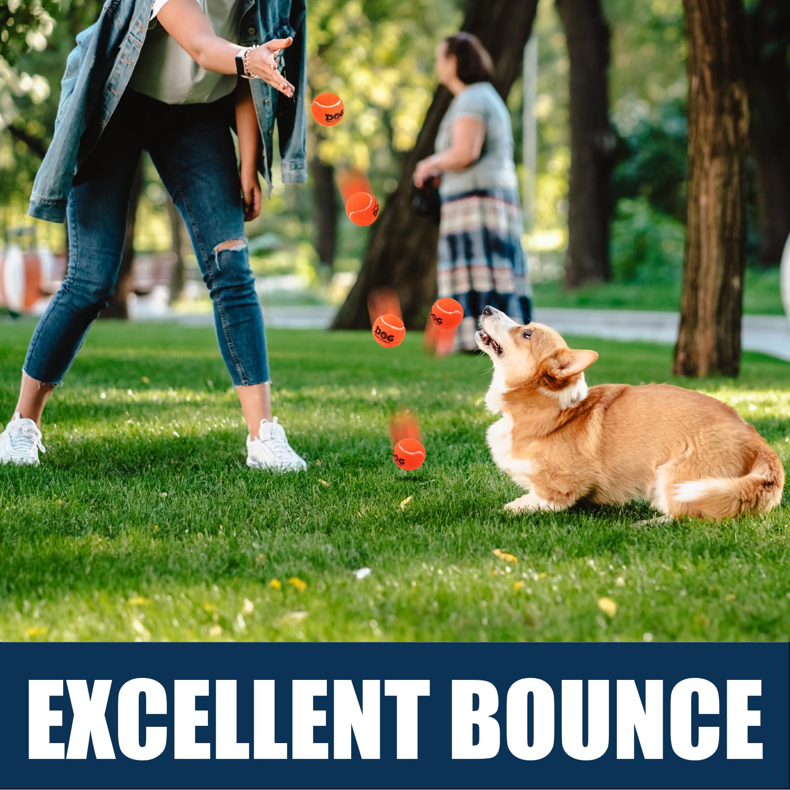 AMA SPORT durable rubber dog tennis balls for backyard games and daily exercise.