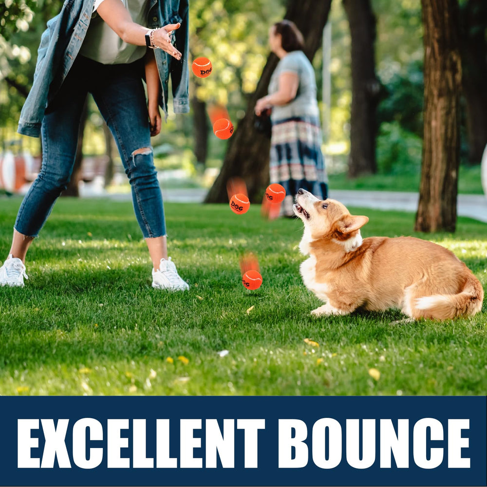 AMA SPORT durable rubber dog tennis balls for backyard games and daily exercise.