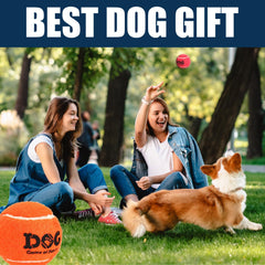 AMA SPORT 2.5-inch dog tennis balls ideal for mid-air catching and training.