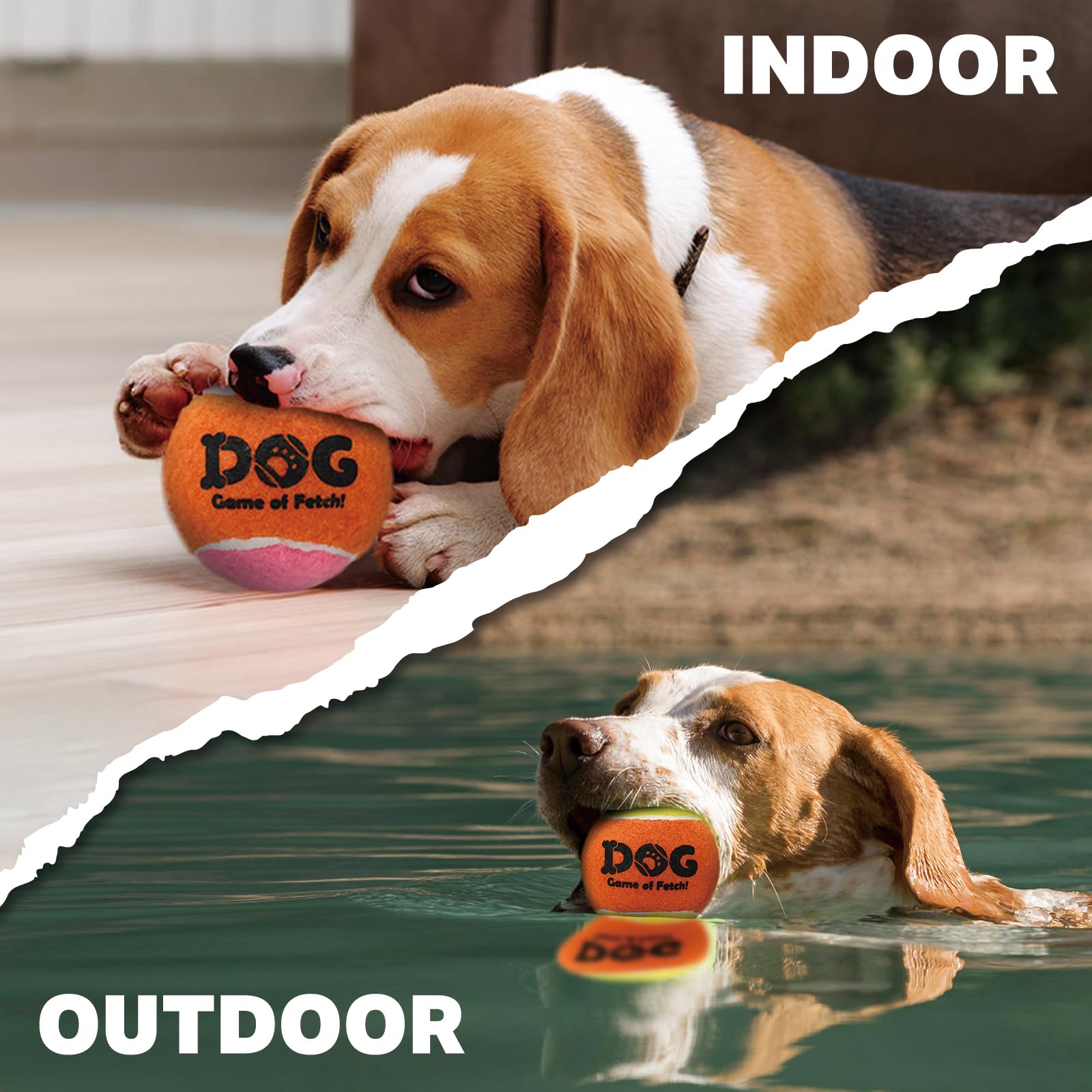 AMA SPORT 12-pack enables solo play or interactive fetch with your dog.