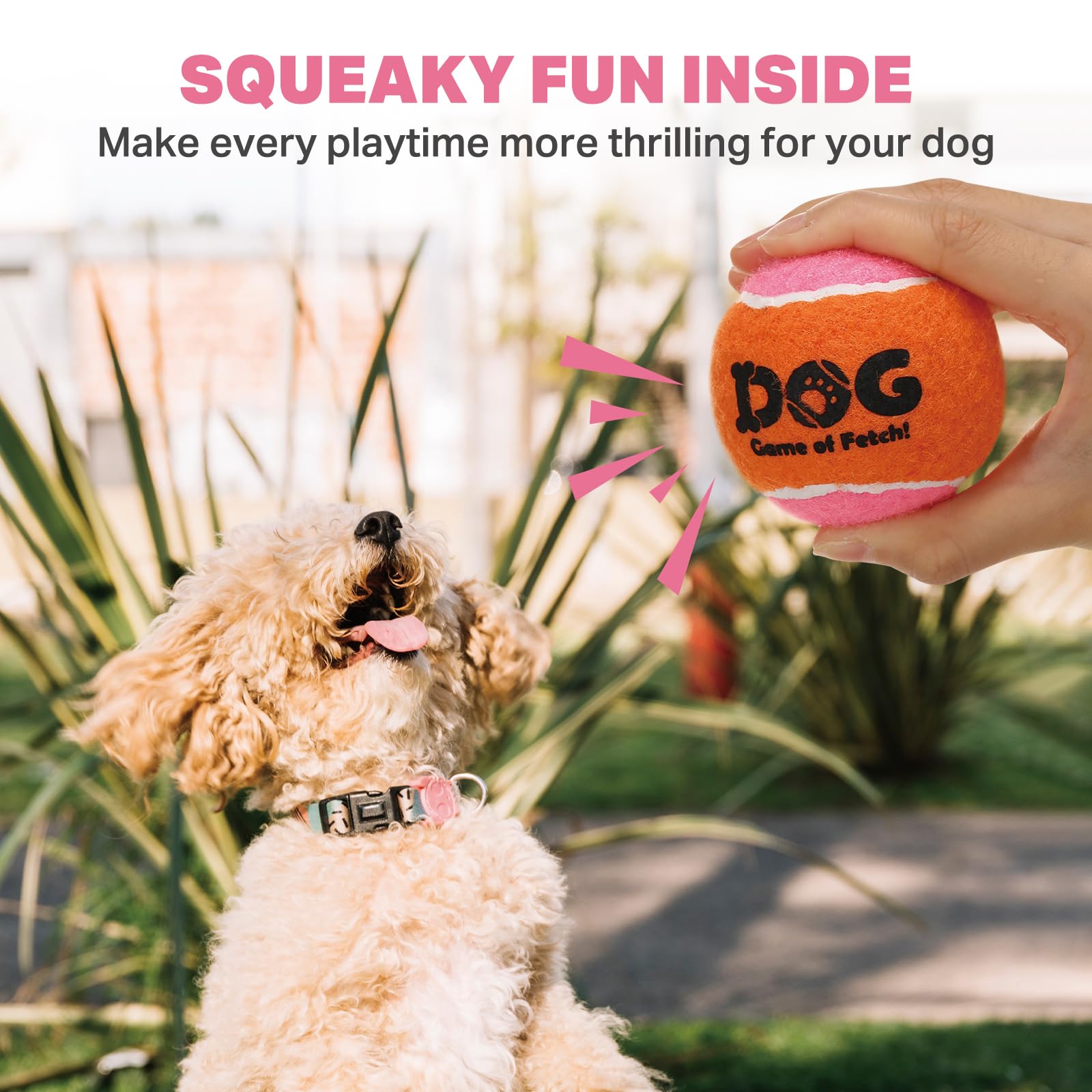 AMA SPORT squeaky tennis ball close-up, bright colors aid visibility during play.