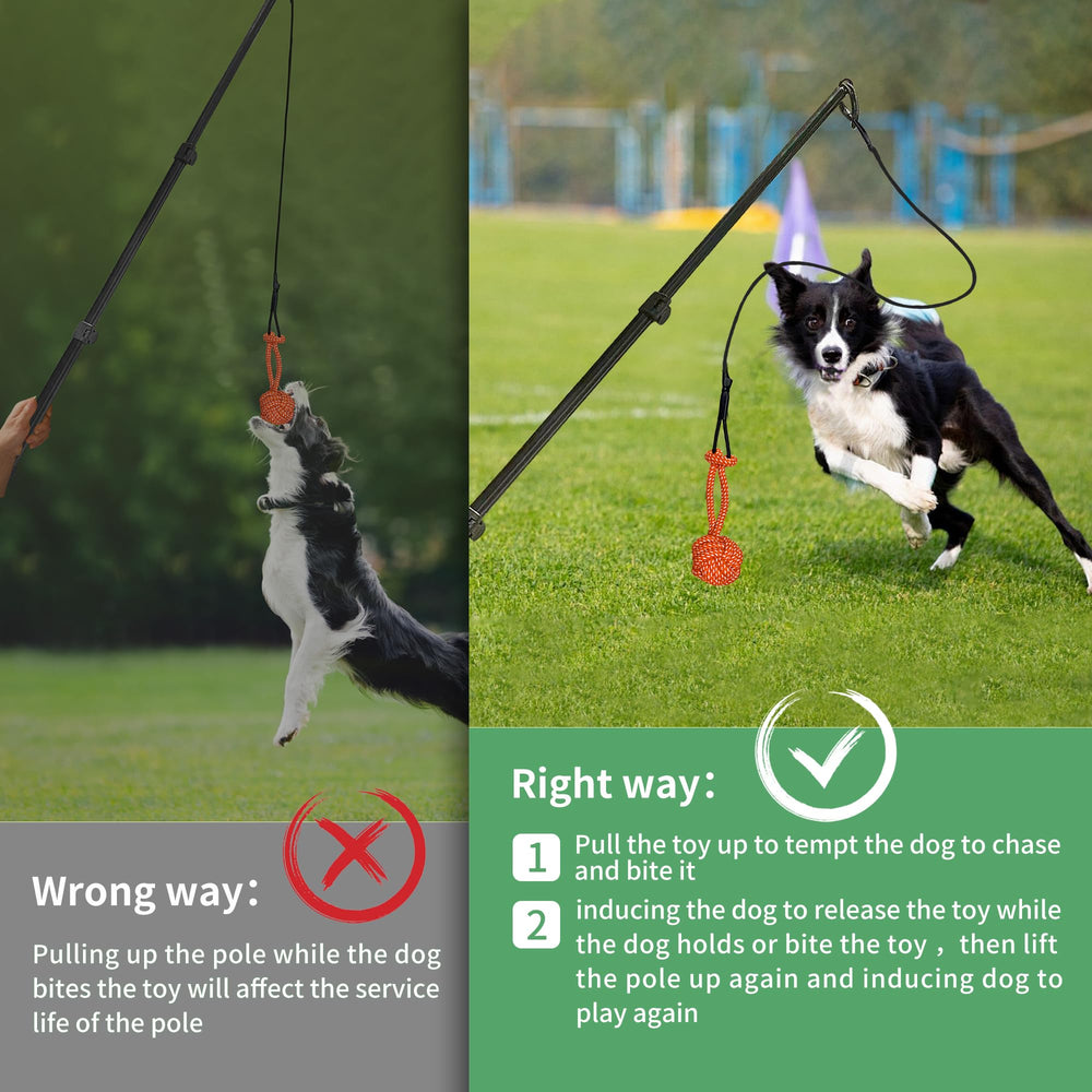 AmaCielo flirt pole cotton rope toys provide safe tugging.