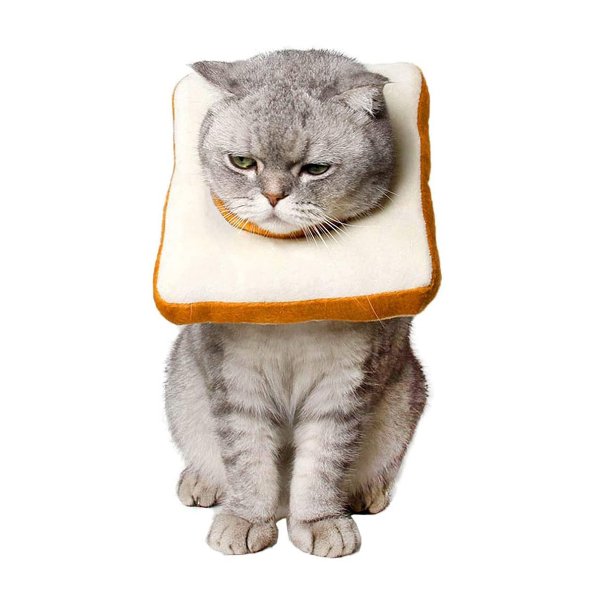 Amakunft adjustable cat cone collar around a kitten neck supports gentle recovery by limiting access