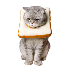 Amakunft adjustable cat cone collar around a kitten neck supports gentle recovery by limiting access