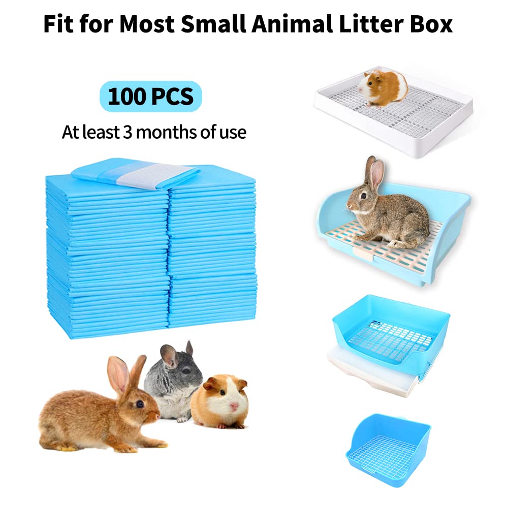 Amakunft pet potty-training pad blue laid out for quick absorption and dry top surface.