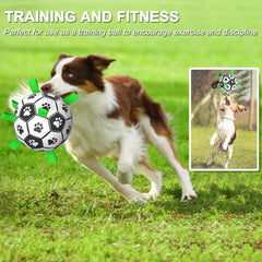 Amasiver dog soccer ball pull rope enables interactive tug and play.