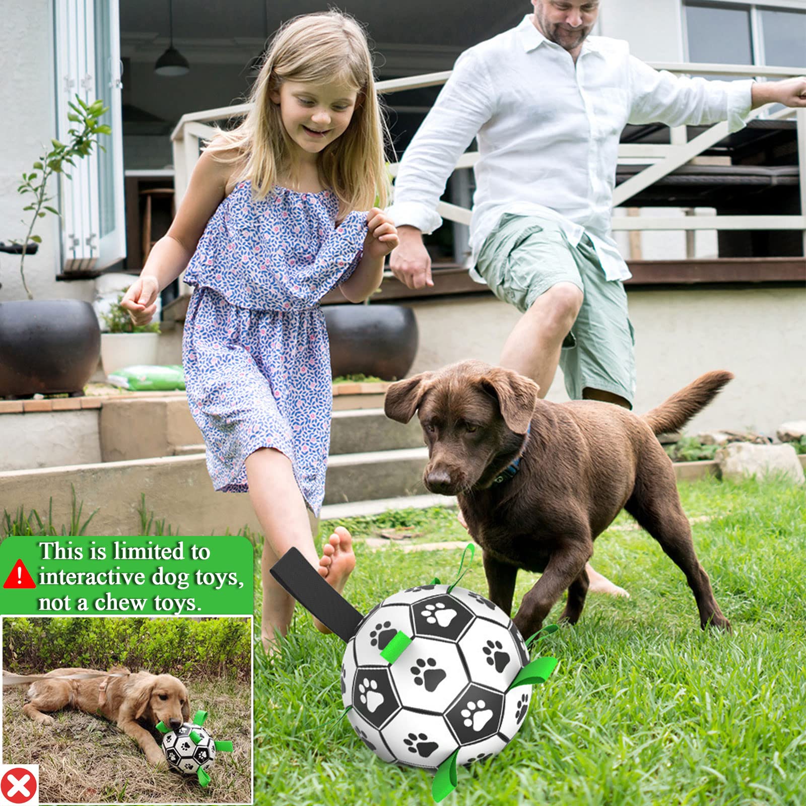 Amasiver dog soccer ball includes pump needle adapter for quick inflation.