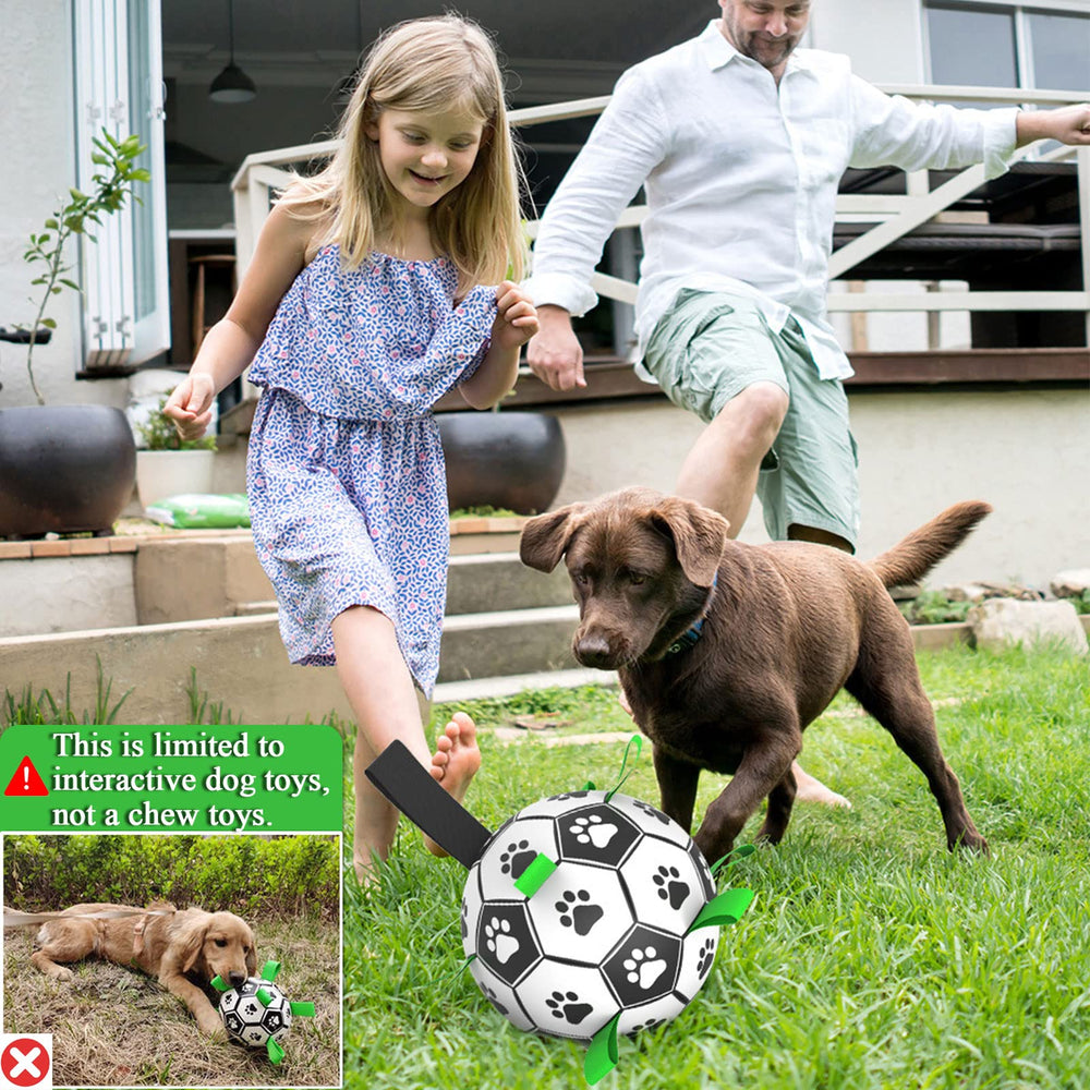 Amasiver dog soccer ball includes pump needle adapter for quick inflation.
