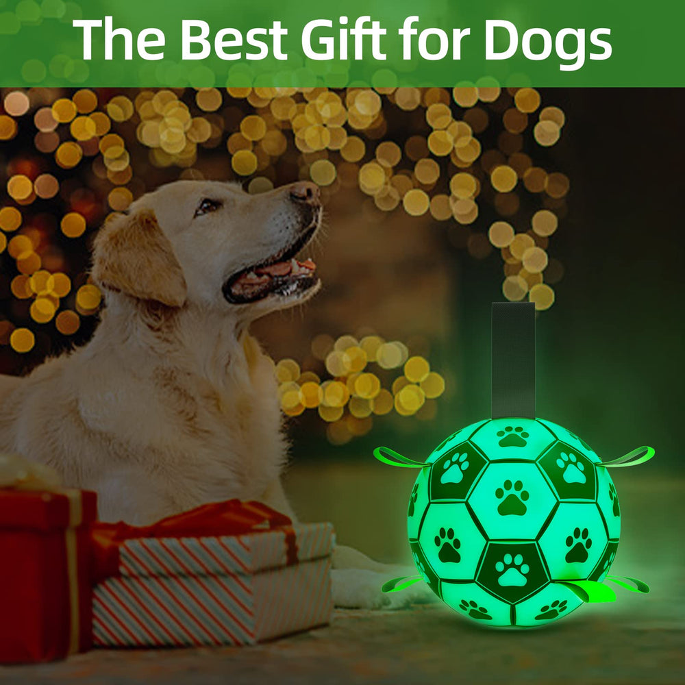 Amasiver ideal birthday gift dog toy for energetic pets