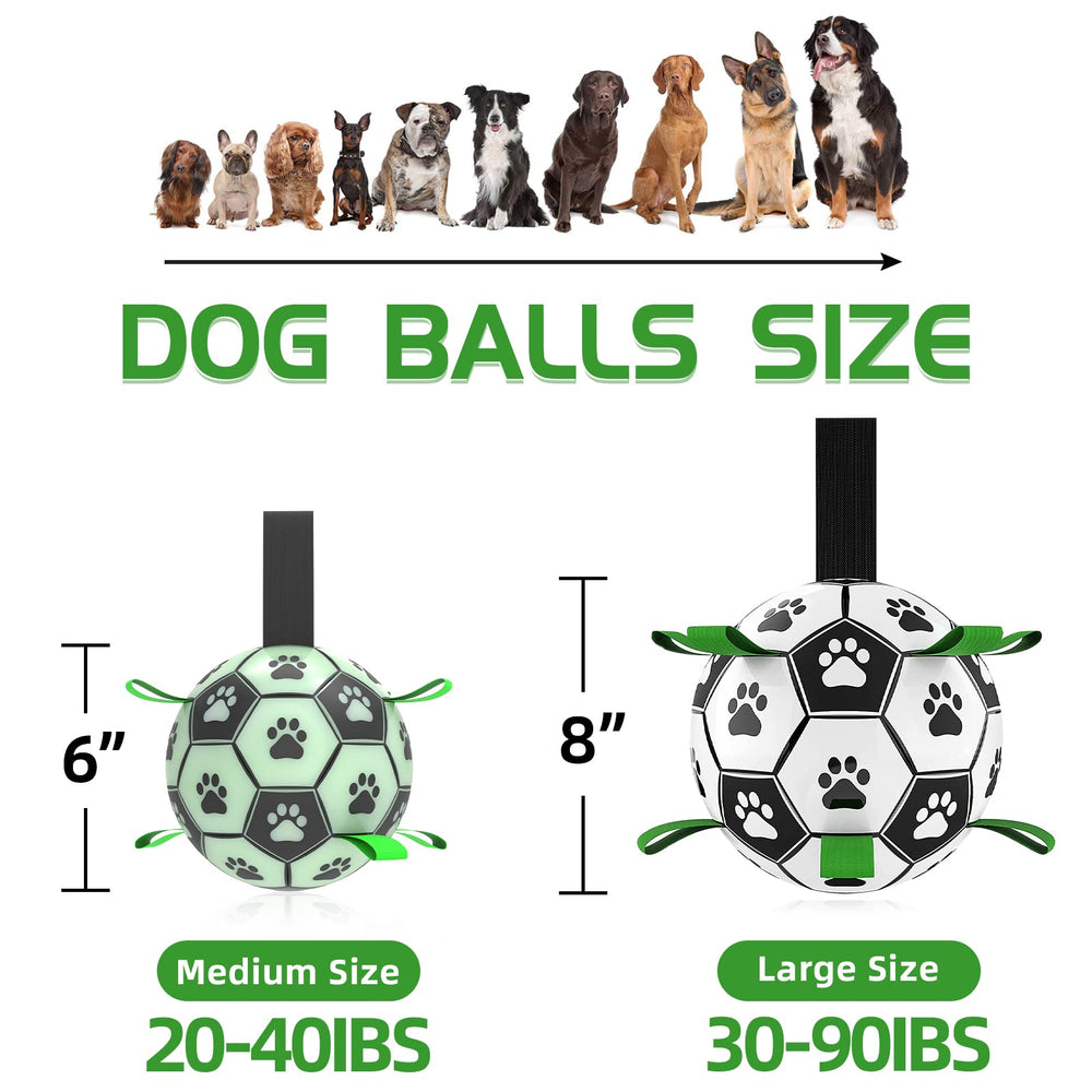 Amasiver light-up World Cup dog toy for active indoor and outdoor play