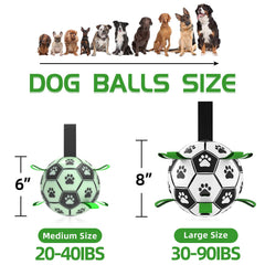 Amasiver light-up World Cup dog toy for active indoor and outdoor play