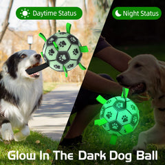 Amasiver waterproof dog ball for pool and beach fun