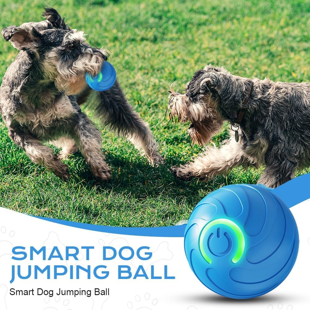 AMATFFUG 2-pack dog ball supports versatile bouncing for indoor and outdoor fun.